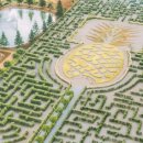 장원농장 이미지