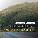 정이품송캠핑장 | 조용한 힐링, 완벽한 시설 - 다시 찾고 싶은 &#39;고릴라캠핑 인 속리산&#39; 캠핑장 후기