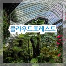 포레스트문 | 싱가포르 클라우드포레스트 입장권 할인 방문후기
