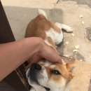 계룡길 벽돌가 이미지