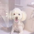 우장산동물의료센터 이미지