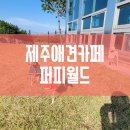 퍼피월드제주 이미지