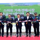 부여 계룡축산 이미지