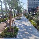 포스코대로 이미지