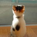 서명농장 이미지