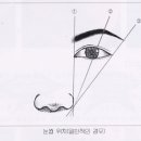 눈썹(eyebrow) 이미지