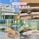 서구문화센터2층전시실 | 대전 곤충생태관 주차 체험 실내 가볼만한곳