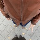 네스트(NEST) 이미지