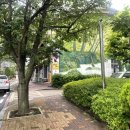 테크노(아)2단지경로당 | [대전/관평동] 뷰티혜선 - 관평동 속눈썹 잘하는 샵...속눈썹 맛집, 금손 사장님이 해준 블랙틴팅펌 후기