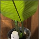 88고기집 이미지