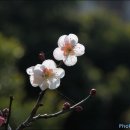 훈기온돌방 이미지