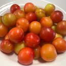 오남매농장 이미지