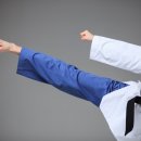 21세기 태권도 이미지