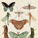 곤충연구소 실내 이미지