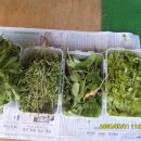 주신목장 이미지