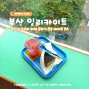 부산 광안리 카페 일리카이트 : 능소화 피어난 민락동 애견동반 디저트 맛집