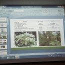 동부생약영농조합법인 이미지