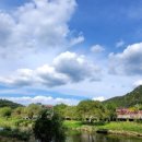 유원약국 이미지