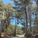 북강릉IC주유소 | 강릉 '보헤미안 박이추 커피본점' 커피성지에서 파나마 게이샤 맛본 후기