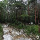 대승 Daum카페
