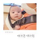 어원 | 베이비뵨 캐리어원 아기띠, 3개월 착용 후기