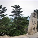 소금강주유소 이미지