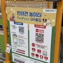 해맑개 | 경기도 의정부 북부청사 앞 경기 평화광장 반려견 놀이터 | 해맑개