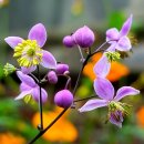 행복여인숙 이미지