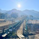 새싹목장 이미지