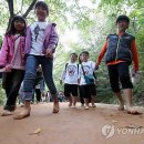 계족산 황톳길 이미지