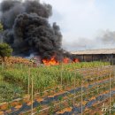 동남농장4 이미지