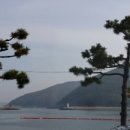 장승포체육공원 이미지