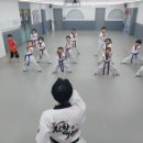 진향태권도장 이미지