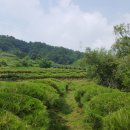 여주-0571 이미지