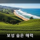 다원파트너스(주) | 보성, 녹차밭만 보고 가면 놓치는 숨겨진 매력들