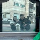 헬로뽑기왕 이미지