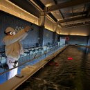 해피한 멍 | 김포 제이앤디 실내바다낚시터｜짜릿한 손맛! 초보도 잡았다