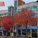 중앙밧데리 이미지