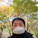 도덕산공원 이미지