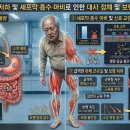 주식회사 스마트독 | 6화] "근육 채우려다 삼킨 보충제 속 잔류 소금독의 배신! 사구체 미세 필터를 마비시키는 대사 마비 기전"