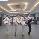 노화태권도 이미지