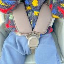 (주)그린크루즈 | 미국 프리미엄 이민정 유모차 어파베이비 크루즈 V3 베페 베이비페어