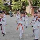 진향태권도장 이미지