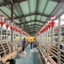 파주흑염소농장 이미지