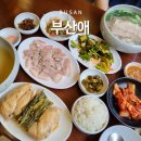 돼지콩 한옥 경양식점 | 부산 광안리 한식 밥집 부산애, 최근 핫한 삼계백반 솔직 후기