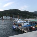 진동돌장어 이미지