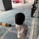 이철 건대스타시티점 | 건대 아기 미용실, 광진구 유아 미용실 추천 [이철헤어커커 건대점, 키즈미용실 비교]