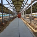 호 농장 이미지