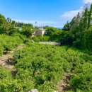 호근정원 이미지