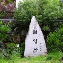 금산인삼관 | 아찔함+풍경 월영산 출렁다리 충남 금산 가볼만한곳